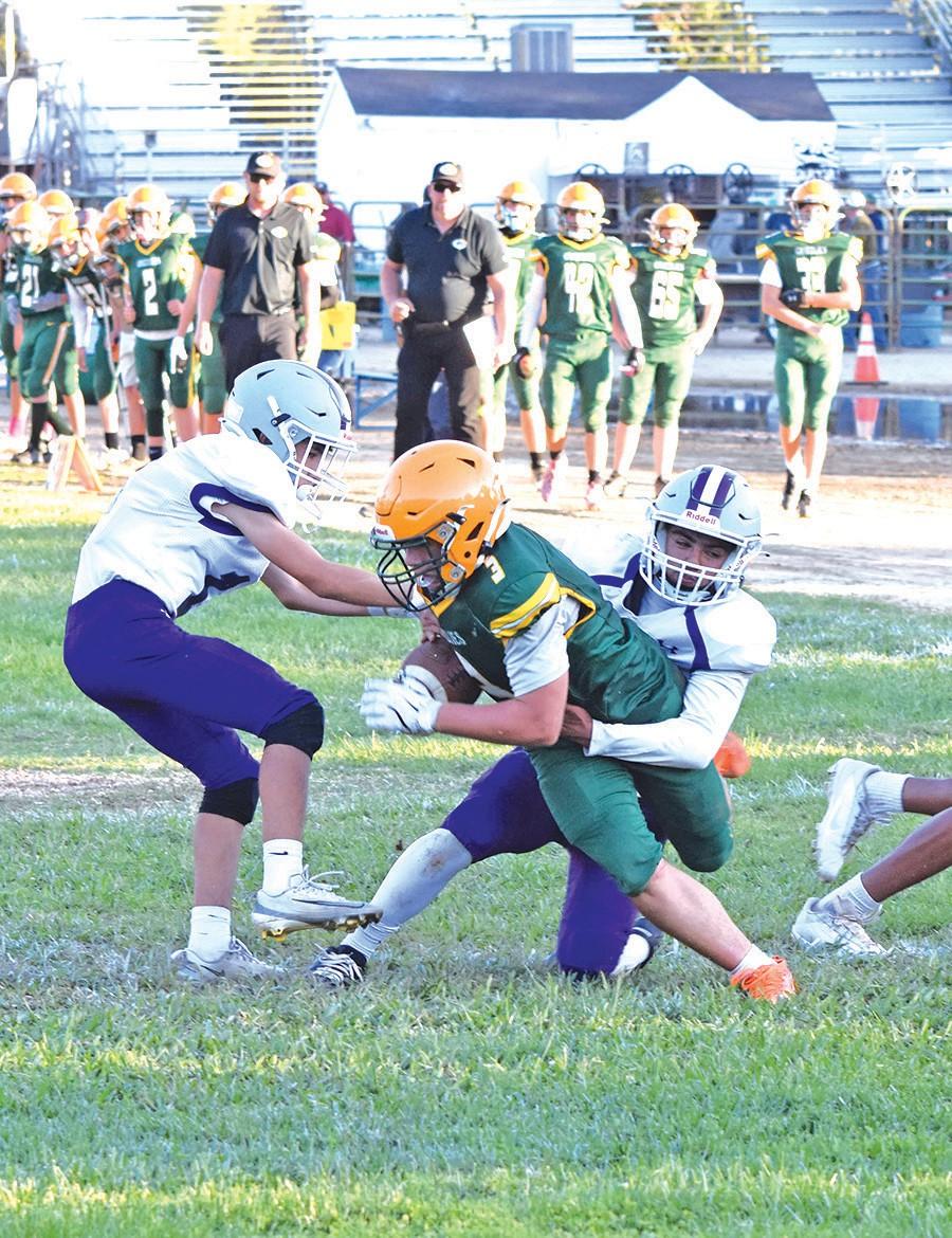 Winning streak snapped as Griz fall to the Knights