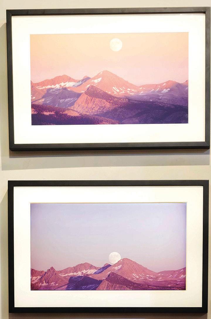 Nature in motion — literally