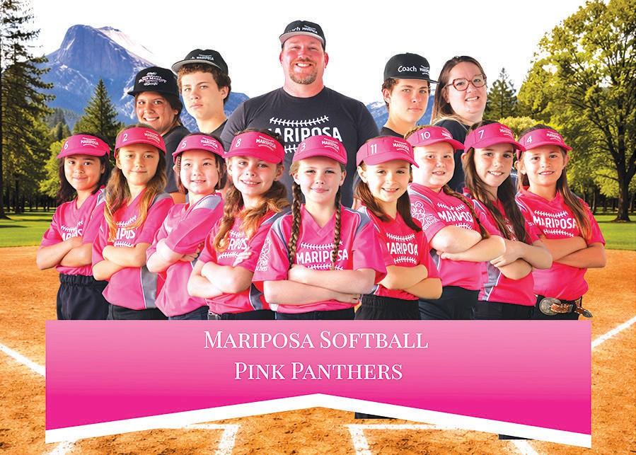 Pink Panthers